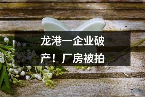 龙港一企业破产！厂房被拍