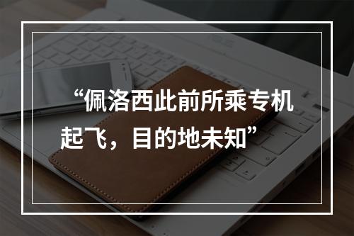 “佩洛西此前所乘专机起飞，目的地未知”