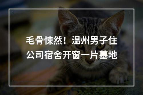毛骨悚然！温州男子住公司宿舍开窗一片墓地