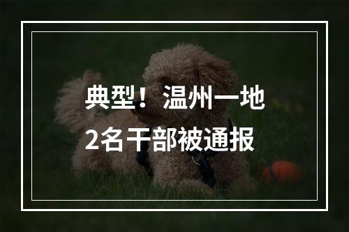 典型！温州一地2名干部被通报