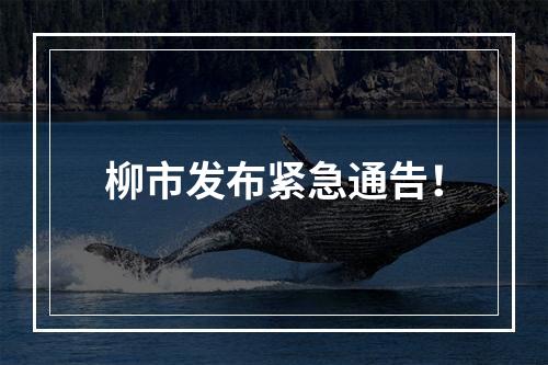 柳市发布紧急通告！