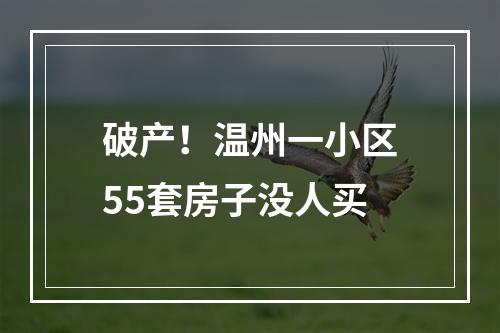 破产！温州一小区55套房子没人买