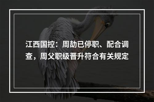 江西国控：周劼已停职、配合调查，周父职级晋升符合有关规定