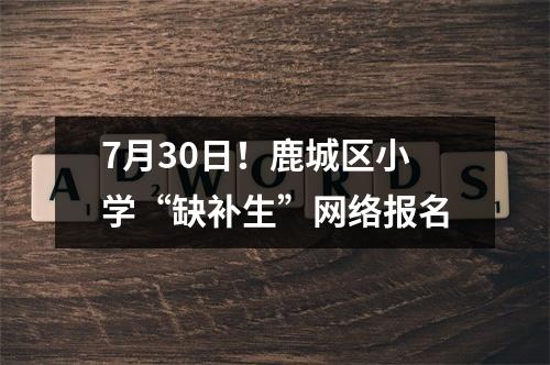 7月30日！鹿城区小学“缺补生”网络报名