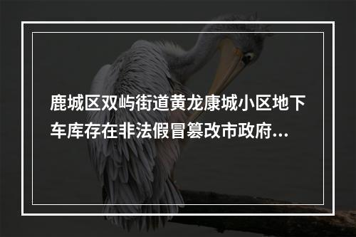 鹿城区双屿街道黄龙康城小区地下车库存在非法假冒篡改市政府文件的停车收费标准4年
