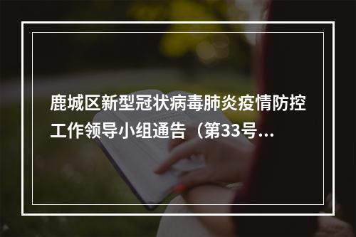 鹿城区新型冠状病毒肺炎疫情防控工作领导小组通告（第33号)