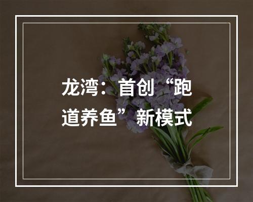 龙湾：首创“跑道养鱼”新模式