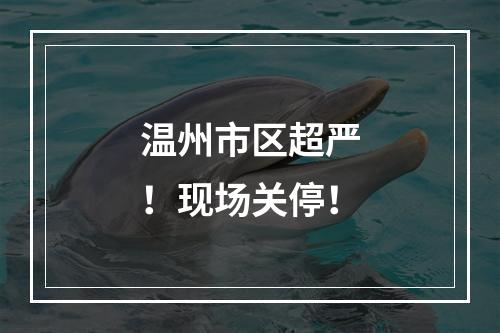 温州市区超严！现场关停！