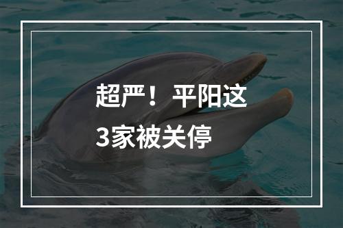 超严！平阳这3家被关停