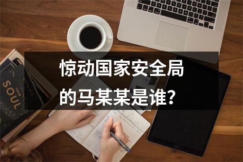 惊动国家安全局的马某某是谁？