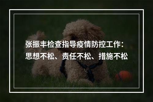 张振丰检查指导疫情防控工作：思想不松、责任不松、措施不松