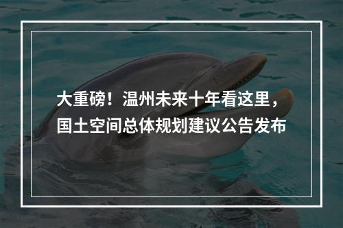 大重磅！温州未来十年看这里，国土空间总体规划建议公告发布