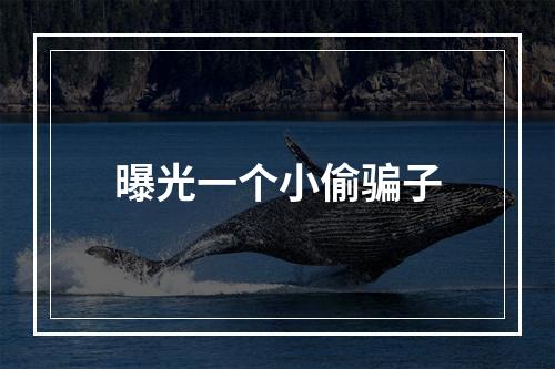 曝光一个小偷骗子