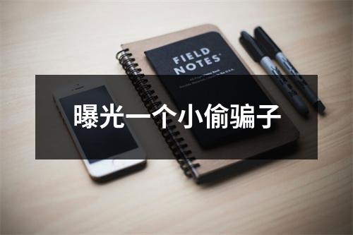曝光一个小偷骗子