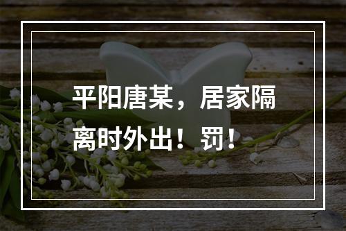 平阳唐某，居家隔离时外出！罚！