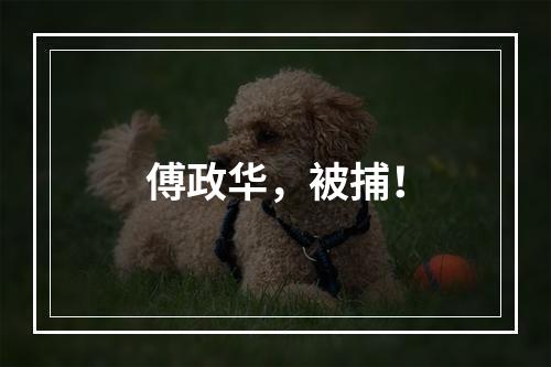 傅政华，被捕！
