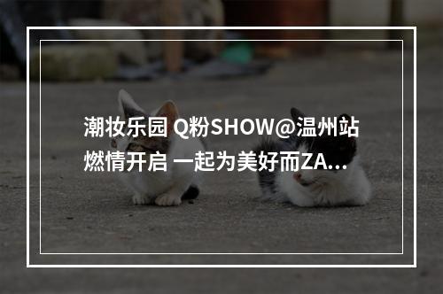 潮妆乐园 Q粉SHOW@温州站燃情开启 一起为美好而ZAO