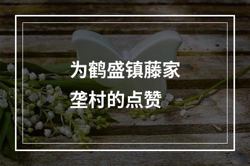为鹤盛镇藤家垄村的点赞
