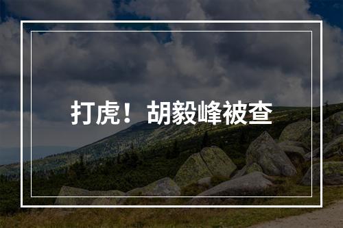 打虎！胡毅峰被查