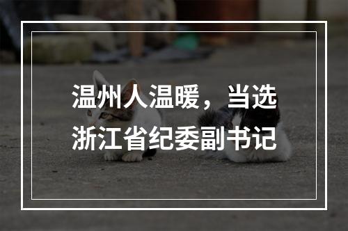 温州人温暖，当选浙江省纪委副书记