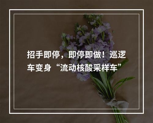 招手即停，即停即做！巡逻车变身“流动核酸采样车”