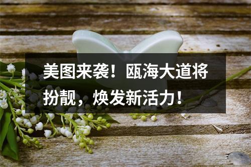 美图来袭！瓯海大道将扮靓，焕发新活力！