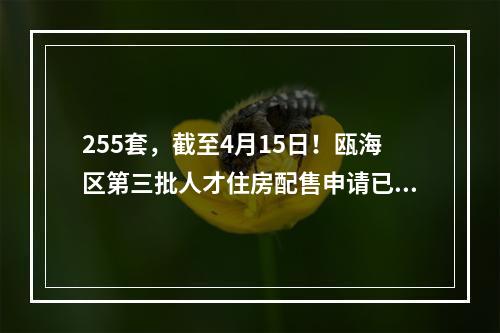 255套，截至4月15日！瓯海区第三批人才住房配售申请已开始