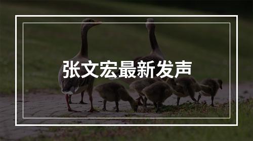 张文宏最新发声