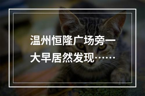 温州恒隆广场旁一大早居然发现……