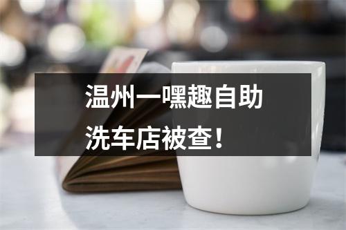 温州一嘿趣自助洗车店被查！