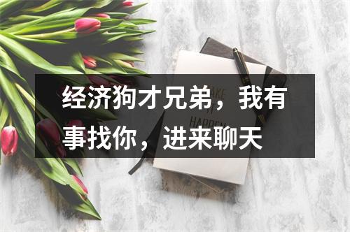 经济狗才兄弟，我有事找你，进来聊天