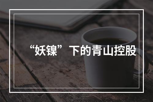 “妖镍”下的青山控股