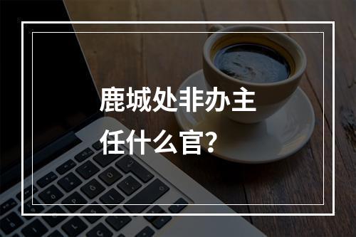 鹿城处非办主任什么官？