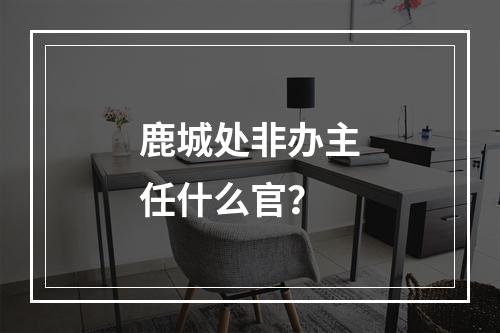 鹿城处非办主任什么官？