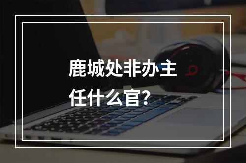 鹿城处非办主任什么官？