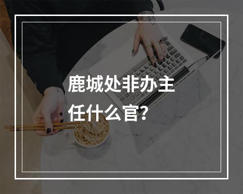 鹿城处非办主任什么官？
