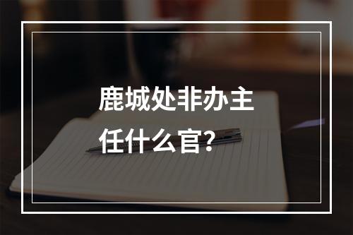 鹿城处非办主任什么官？