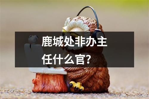鹿城处非办主任什么官？