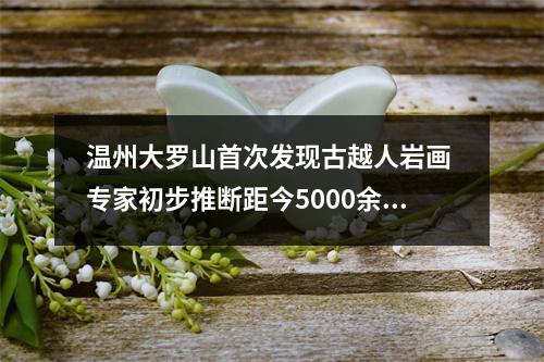 温州大罗山首次发现古越人岩画 专家初步推断距今5000余年