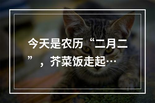 今天是农历“二月二”，芥菜饭走起…
