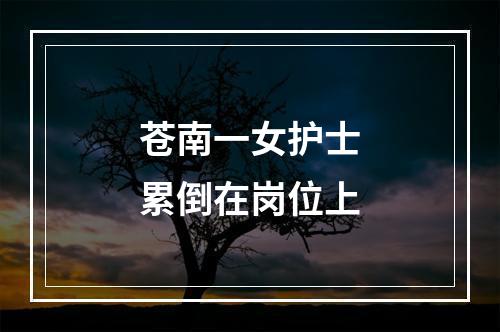 苍南一女护士累倒在岗位上