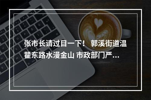 张市长请过目一下！ 郭溪街道温瞿东路水漫金山 市政部门严重不作为！