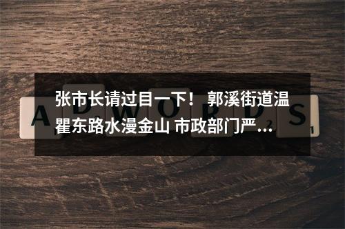 张市长请过目一下！ 郭溪街道温瞿东路水漫金山 市政部门严重不作为！