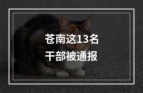 苍南这13名干部被通报