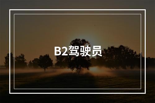 B2驾驶员
