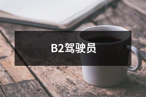 B2驾驶员