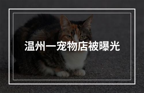 温州一宠物店被曝光