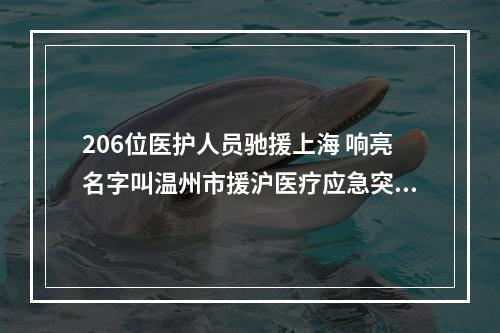 206位医护人员驰援上海 响亮名字叫温州市援沪医疗应急突击队