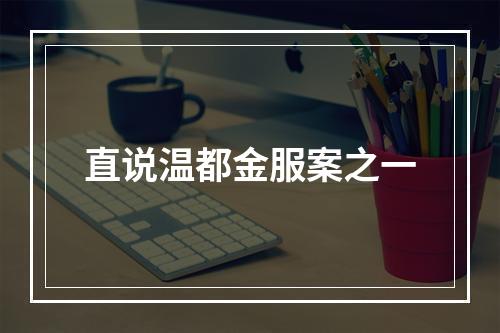 直说温都金服案之一