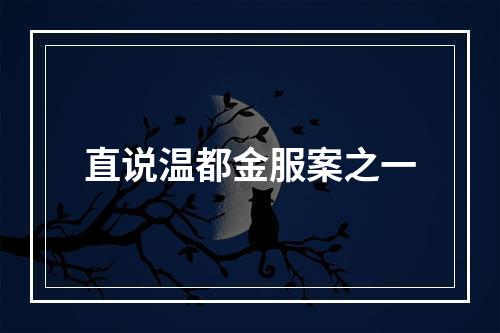 直说温都金服案之一